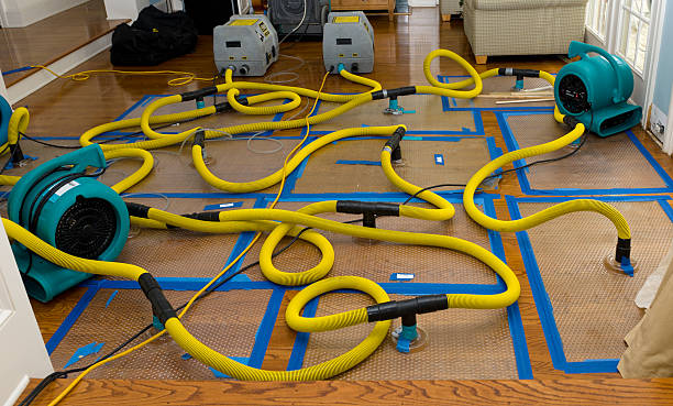 Professional Structural Drying And Dehumidification technician working in Richfield, MN